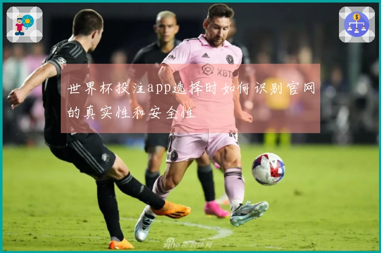 世界杯投注app选择时如何识别官网的真实性和安全性