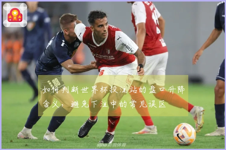 如何判断世界杯投注站的盘口升降含义，避免下注中的常见误区