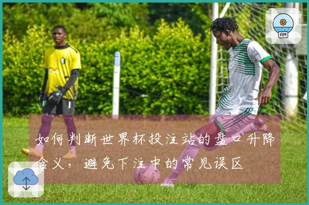 如何判断世界杯投注站的盘口升降含义，避免下注中的常见误区