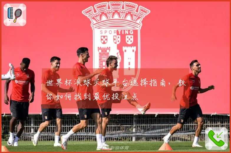 世界杯滚球买球平台选择指南,教你如何找到最优投注点