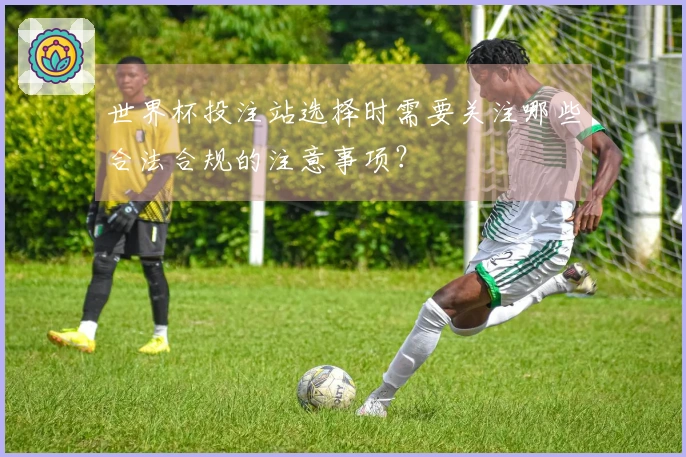 世界杯投注站选择时需要关注哪些合法合规的注意事项？
