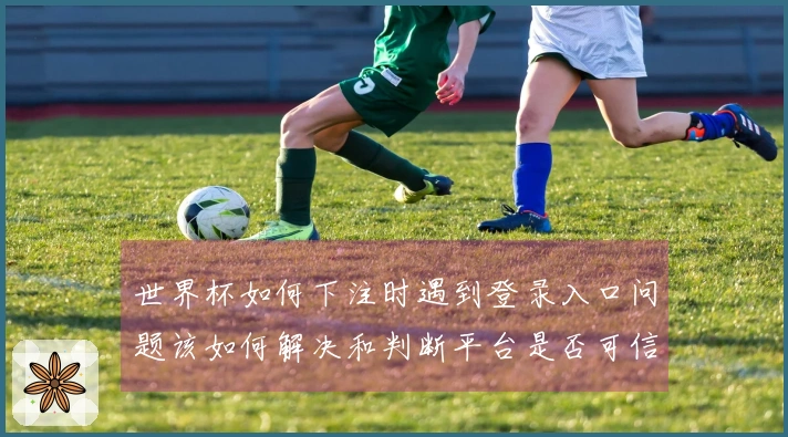 世界杯如何下注时遇到登录入口问题该如何解决和判断平台是否可信