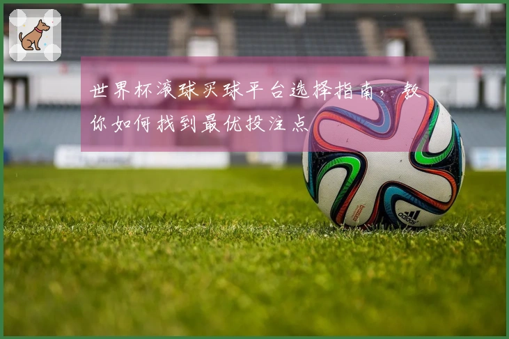 世界杯滚球买球平台选择指南，教你如何找到最优投注点
